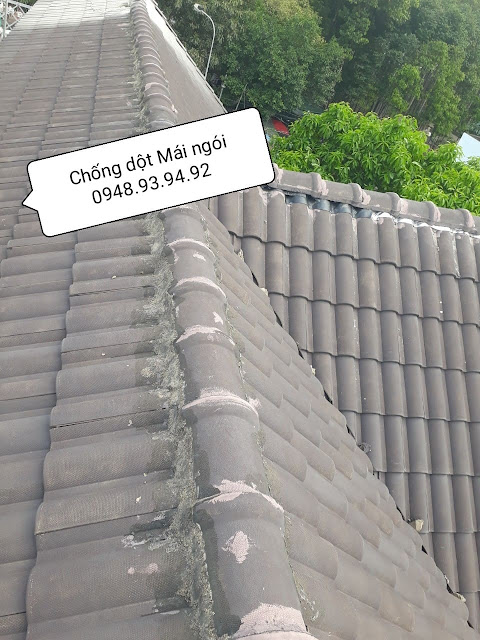 khac-phuc-tham-dot-mai-ngoi-noc-dong-nai khac-phuc-tham-dot-mai-ngoi-noc-dong-nai