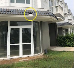 cach-thay-ngoi-bi-vo-nhu-the-nao-612