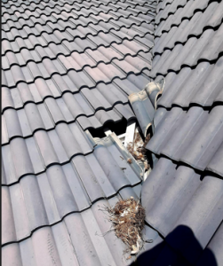 chong-dot-mai-nha-hieu-qua-nhat