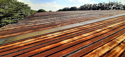 Chong dot mai ton tai thu uc nhanh chong hieu qua so 1 hien nay