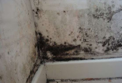 tuong-nha-nam-moc tuong-nha-nam-moc