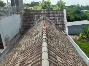 son-mai-ngoi-cu-tron-goi-moi-nhat-2023