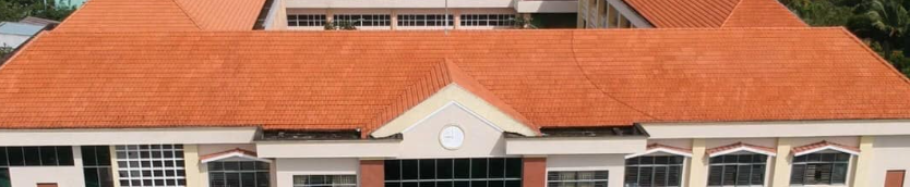 sơn chống thấm mái ngói