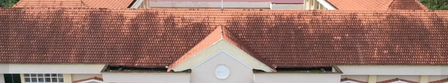 son-chong-dot-mai-ngoi