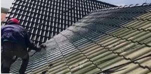 sơn chống thấm vệ sinh mái ngói