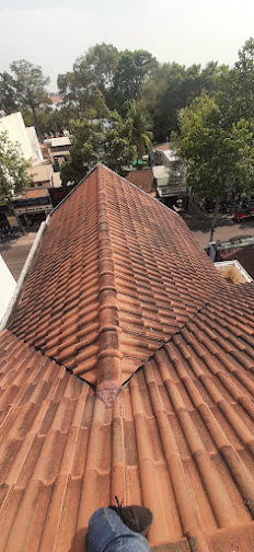 SƠN MAI NGOI SƠN MÁI NGÓI