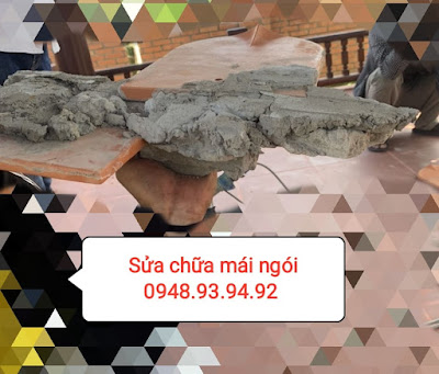 thay-ngoi-sua-mai_ngoi-tphcm thay-ngoi-sua-mai_ngoi-tphcm