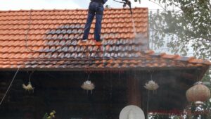 cách để về sinh tẩy rong rêu mái ngói