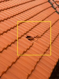 xử lý ngói bể vỡ thấm dột hiệu quả